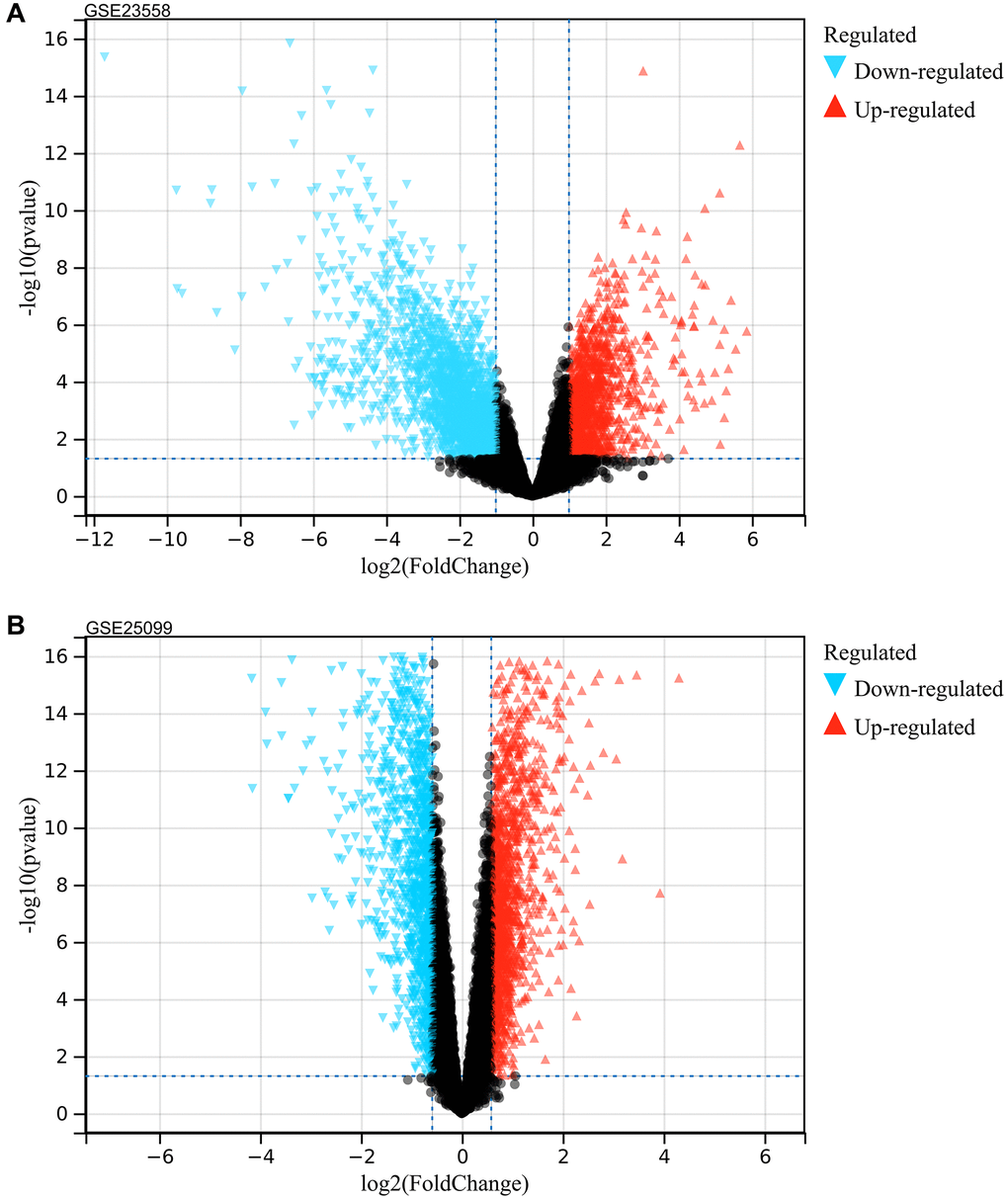 Analysis of differentially expressed genes. (A) GSE23558 (B) GSE25099.