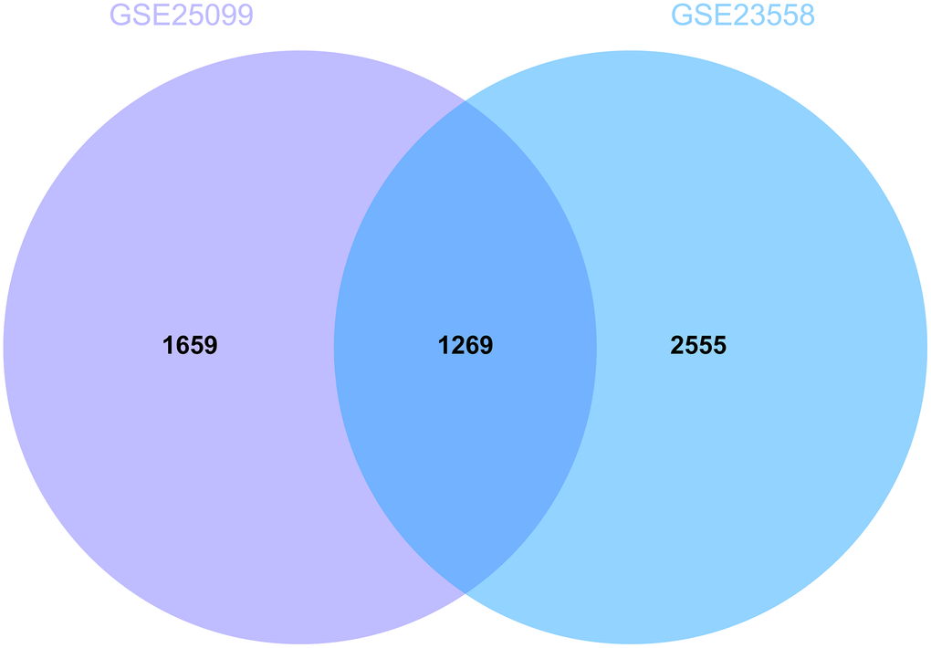 Analysis of differentially expressed genes. 1269 DEGs were identified.