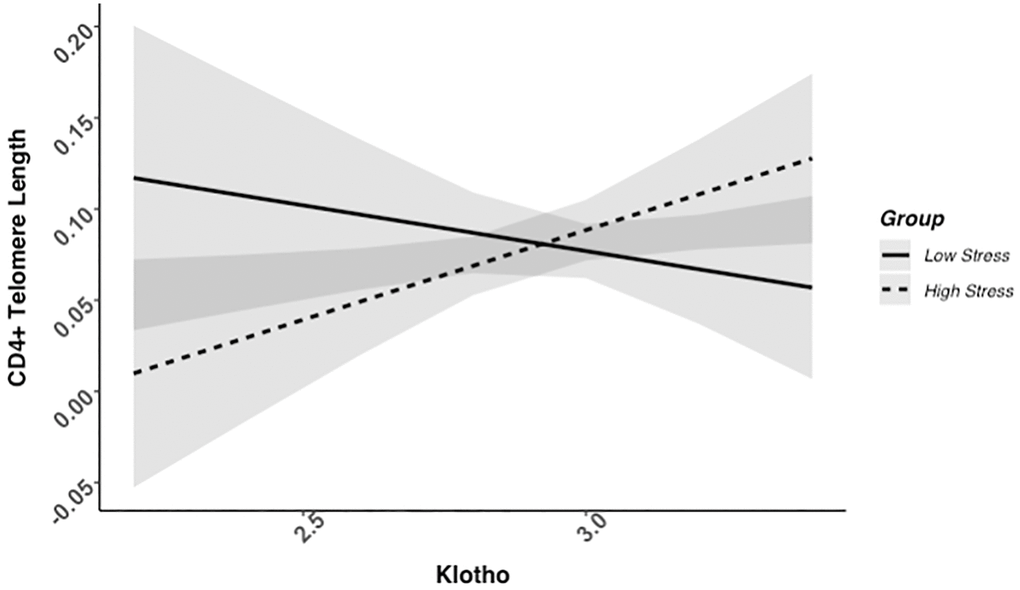 CD4+ telomere length as a function of klotho levels and stress group membership. The slope for the high-stress group was significant, but not the slope for the low-stress group (see Table 2).
