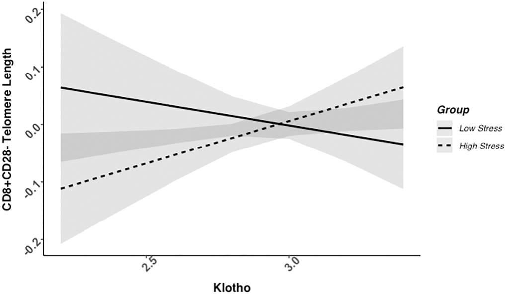 CD8+CD28− telomere length as a function of klotho levels and stress group membership. The slope for the high-stress group was significant, but not the slope for the low-stress group (see Table 2).