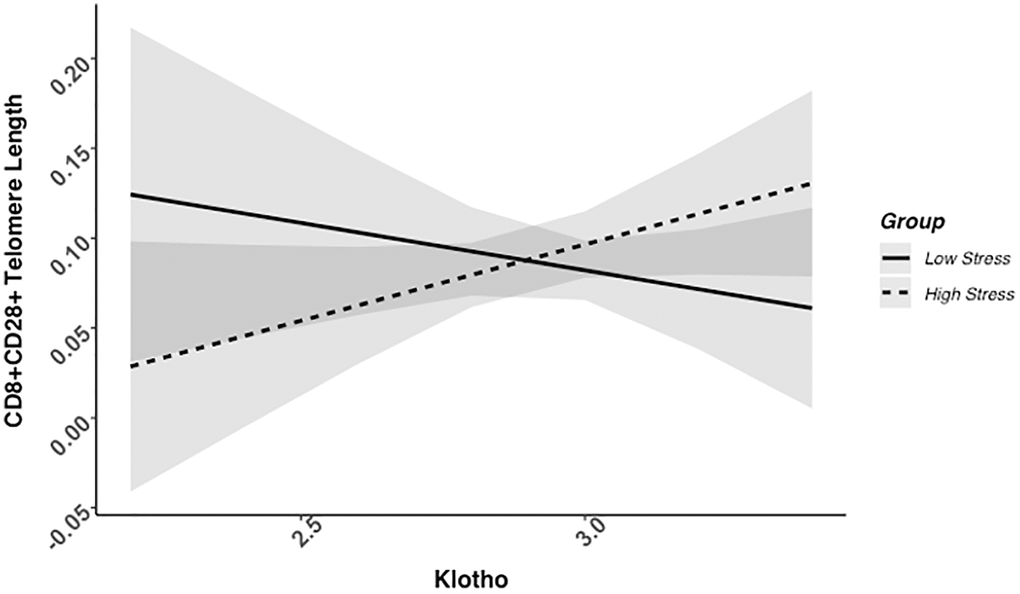 CD8+CD28+ telomere length as a function of klotho levels and stress group membership. Neither slope is significant in this figure (see Table 2).