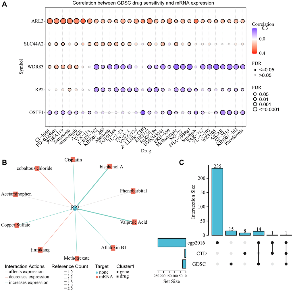 Gene-drug interaction and drug sensitivity analysis. (A) Relationship between RP2 expression and drug sensitivity in the GSCA database. (B) CTD showed the network of action between RP2 and drugs or small molecules. (C) Drug susceptibility results from three databases were displayed.
