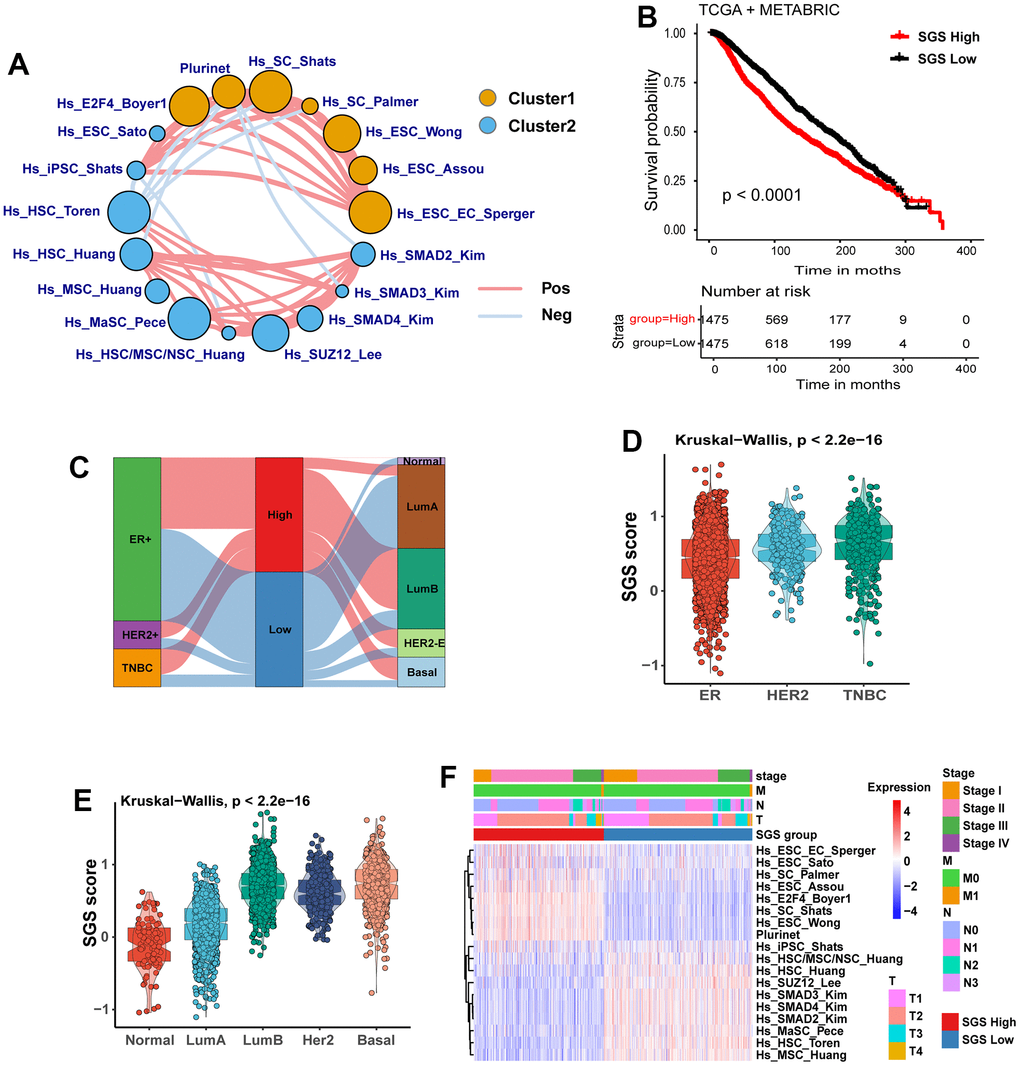 (A) Landscape plot of the effect of 18 prognosis-related stem gene sets in breast cancer on survival of BC patients. Cluster 1, orange; cluster 2, blue; HR>1 is Cluster 1, HRB) KM curves for OS of breast cancer patients from TCGA and METABRIC cohort. (C) Sankey plot showing the relationship between SGS grouping and IHC typing as well as PAM50 molecular typing. (D) Box plot showing the correlation between SGS and IHC subtypes of breast cancer patients. (E) Box plot showing the correlation between SGS and PAM50 molecular typing of breast cancer patients. (F) Heatmap manifesting the relationship between SGS groupings and clinical pathological parameters in the TCGA.