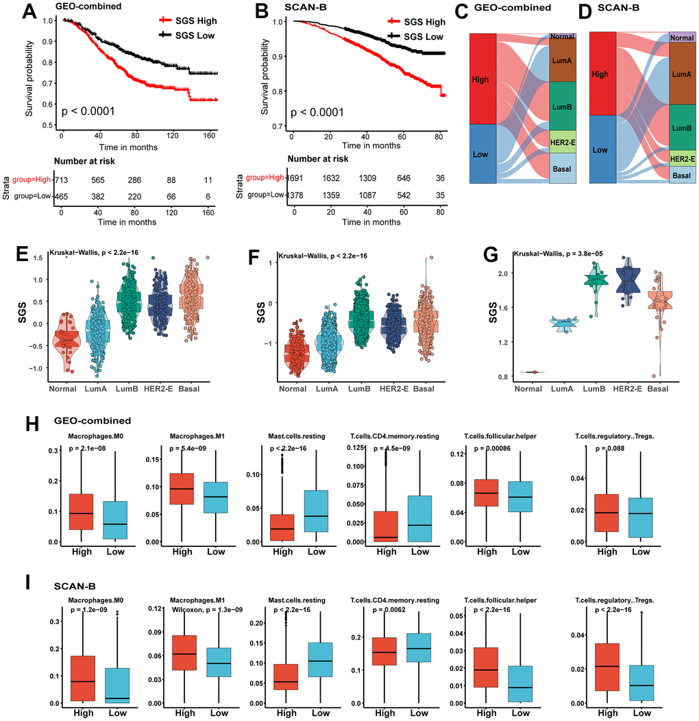 (A, B) KM curves for OS of BC patients from GEO-combined (A) and SCAN-B (B) cohort. (C, D) Sankey plot of PAM50 subtypes in SGS high and SGS low group of GEO-combined (C)and SCAN-B (D) cohort. (E, F) Boxplot showing the distribution of SGS among PAM50 subtype in GEO-combined (E) and SCAN-B (F) cohort. (G) Boxplot showing the distribution of SGS among PAM50 subtype of breast cancer cell lines from the CCLE database. (H, I) Boxplot showing differences of some representative immune cells between SGS high and SGS low group in GEO-combined (H) and SCAN-B (I) cohort.