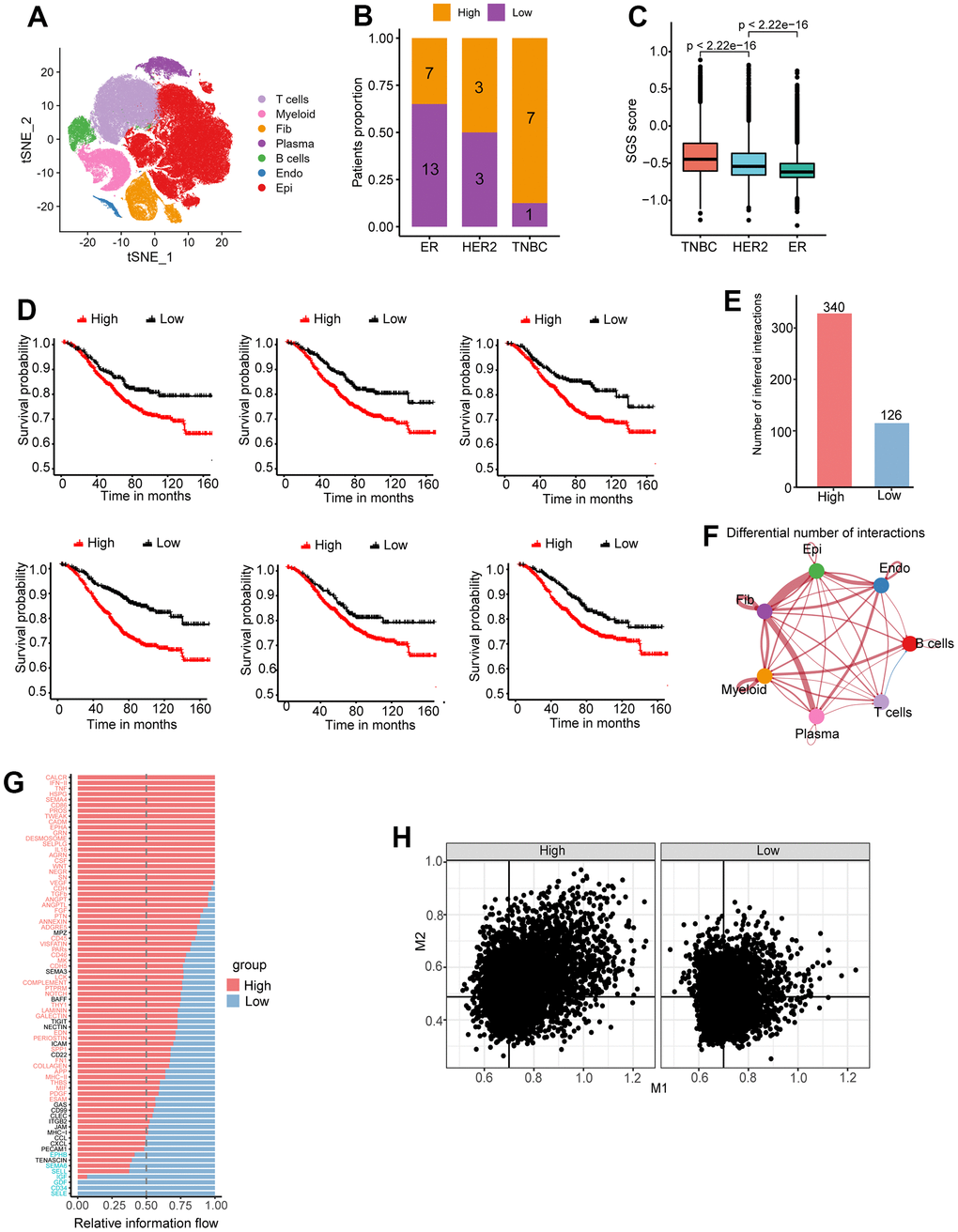 (A) Cluster analysis and dimension reduction used non-linear dimensional reduction (t-SNE) in breast cancer scRNA-seq. (B) Bar graph of patient proportion (SGS high/SGS low) with different immunohistochemical typing. (C) Boxplot showing distribution of SGS among different IHC typing. (D) KM curves of top6 differential genes for high and low SGS groups of the SCAN-B cohort. (E) Number of intercellular interactions for high and low SGS groups in breast cancer scRNA-seq. (F) A landscape plot of intercellular interactions strengths differences compared SGS high group to SGS low group. Red represents positive correlation and blue represents negative correlation. The thickness of the lines represents the degree of difference. (G) Bar plot of overall information flow of some signaling pathway between high and low SGS group. (H) Scatter plot of M1 and M2 signature gene score of per macrophage in SGS high and low patients. Black lines indicate median scores of characteristic genes.