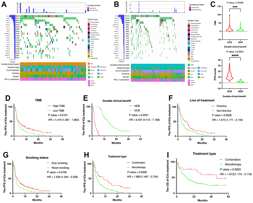 Summary of genomic landscape and clinical features associated with response or non-response in NSCLC with immunotherapy. (A, B) OncoPrint that has top 20 gene alterations in DCB group and NDB group. (C) TMB level and PFS were higher in DCB group than NDB group. (D) The Kaplan-Meier plot for NSCLC PFS based on TMB. (E) The Kaplan-Meier plot for NSCLC PFS based on PD-L1 expression. (F) The Kaplan-Meier plot for NSCLC PFS based on treatment line. (G) The Kaplan-Meier plot for NSCLC PFS based on smoking status. (H) The Kaplan-Meier plot for NSCLC PFS based on treatment type. (I) The Kaplan-Meier plot for NSCLC OS based on treatment type.