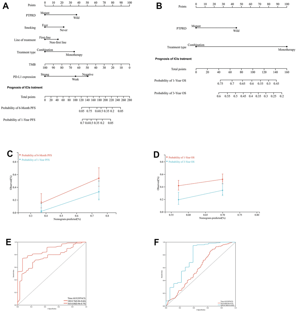 Development of nomograms for the PFS and OS of NSCLC with ICIs. (A) Systematic nomogram to predict the 6-month and 1-year PFS. (B) Systematic nomogram to predict the 1-year and 3-year OS. (C) The calibration plot for the chance of surviving 6-month and 1-year PFS. (D) The calibration plot for the chance of surviving 1-year and 3-year OS. (E) The ROC curve for the chance of 6-month and 1-year PFS. (F) The ROC curve for the chance of 6-month and 1-year PFS.