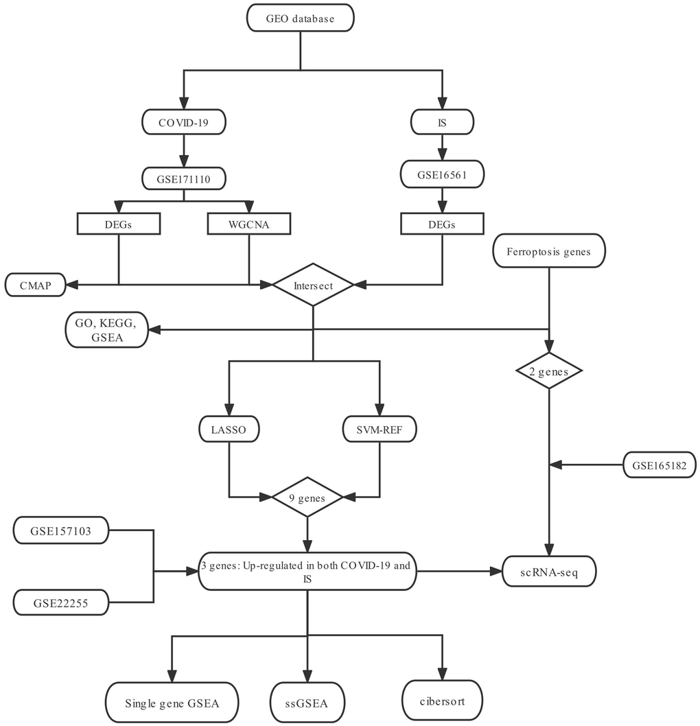 The research flow chart.