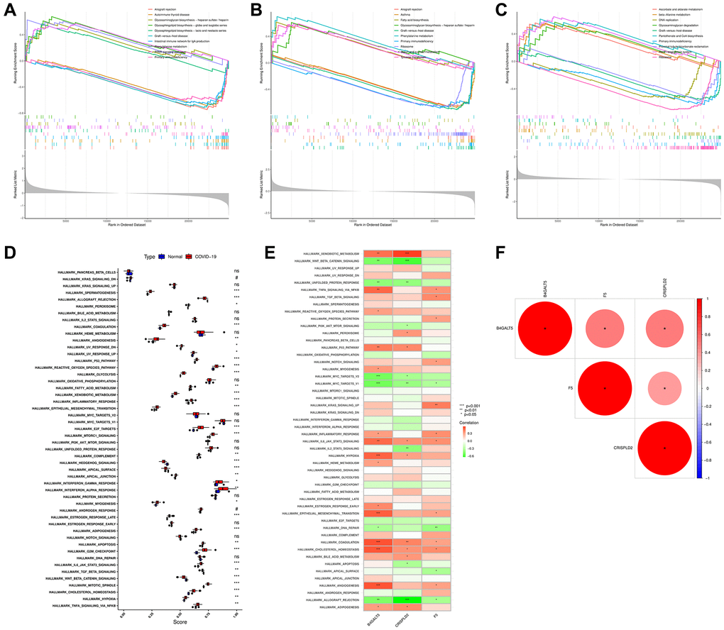 Gene set enrichment analyses (GSEA) analysis of 3 hub genes and the relationship between COVID-19 and 50 significant pathways. (A) Gene set enrichment analyses (GSEA) analysis of B4GALT5. (B) Gene set enrichment analyses (GSEA) analysis of CRISPLD2. (C) Gene set enrichment analyses (GSEA) analysis of F5. (D) Analysis of the relationship between COVID-19 and 50 significant pathways. (E) Analysis of the relationship between 3 hub genes and 50 significant pathways. (F) Correlation heat map showing the correlation between 3 hub genes.