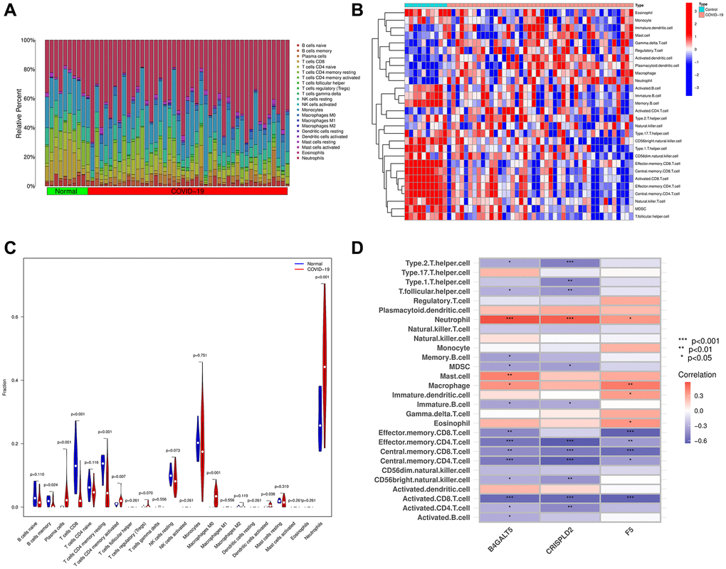 The composition of immune cells was analyzed and displayed. (A) Heat map of the 22 immune cell subpopulations in GSE171110 using CIBERSORT. (B) Heat map of immune cell infiltration in GSE171110 using ssGSEA. (C) Violin diagram illustrating the proportion of different kinds of immune cells in COVID-19 and normal samples using ssGSEA. (D) Correlation heat map showing the correlation between 28 different kinds of immune cells and 3 hub genes. The stronger the connection, the redder the hue. (P-values *P **P ***P 