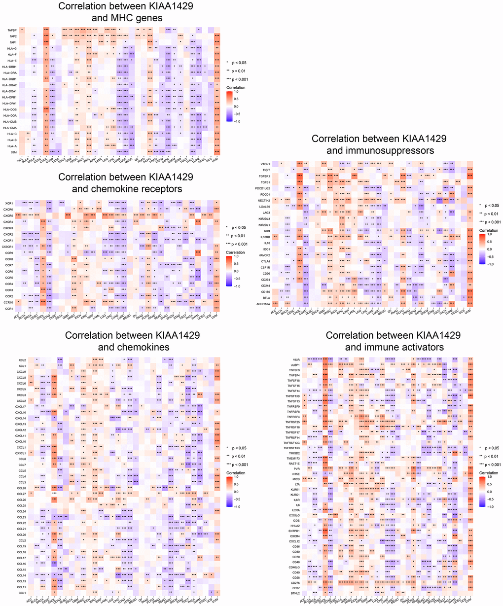 Co-expression of KIAA1429 and immune-related genes. *P P P 