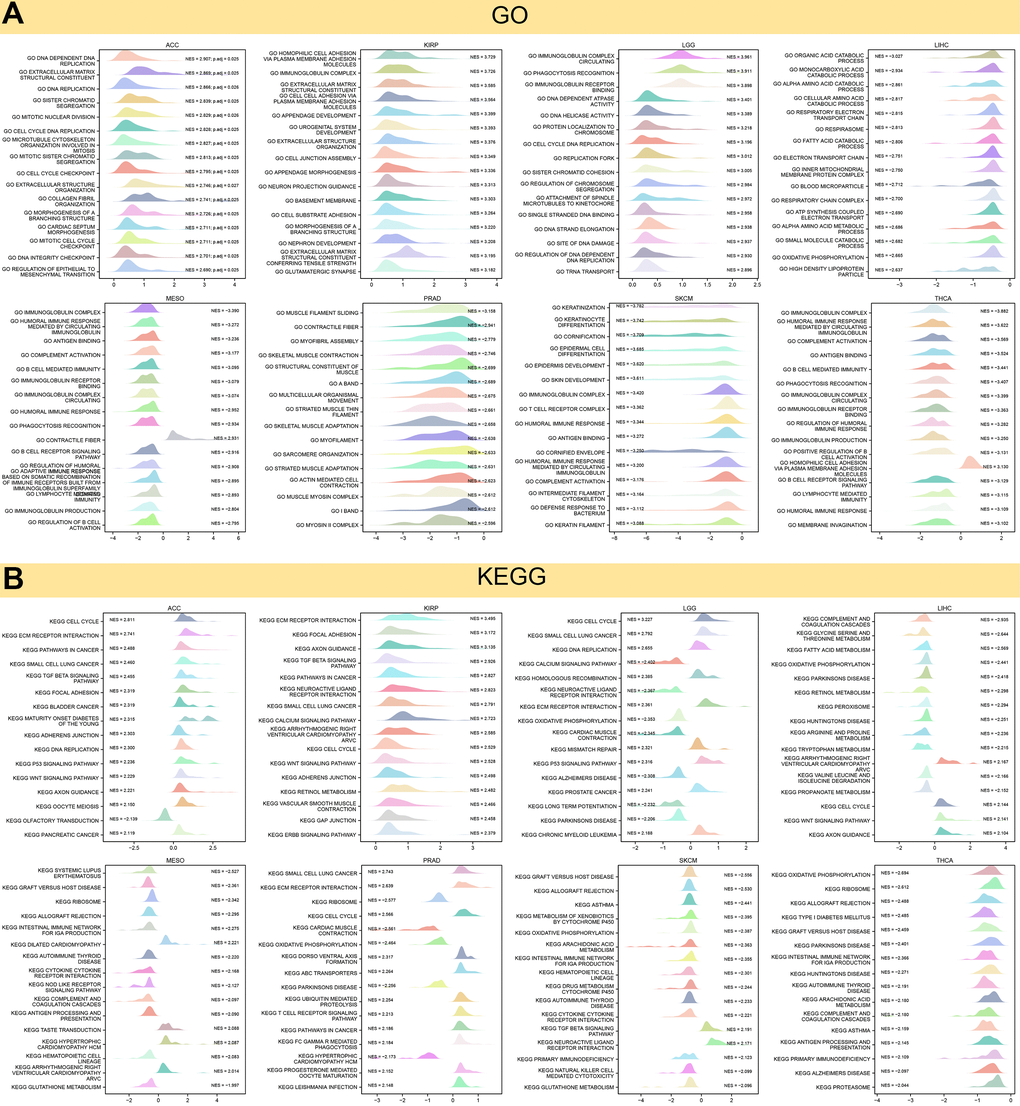 Results of GSEA. (A) GO functional annotation of KIAA1429 in pan-cancer. (B) KEGG pathway analysis of KIAA1429 in pan-cancer. Curves of different colors show different functions or pathways regulated in different cancers.