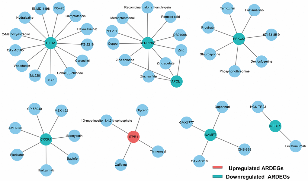 Drug-ARDEGs network including 8 ARDEGs and 47 drugs. Blue circles, potential target drugs; Red circles, upregulated ARDEGs; Blue-green circles, downregulated ARDEGs.