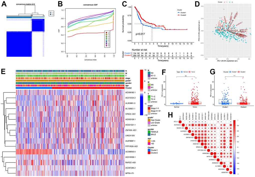 Unsupervised consensus clustering of 16 prognostic cuproptosis-related lncRNA (CRLs) in BC. (A) Consensus matrix that divides BC cases into two clusters (k=2). (B) Cumulative distribution function (CDF) curves for k = 2–9. (C) Kaplan Meier analysis for BC patients in two clusters. (D) PCA showed the difference in distribution between the two clusters. (E) The distribution of clinical features and expression of 16 CRLs between two clusters. (F) No differential expression was observed for PD-L1 between BC and normal tissues. (G) PD-L1 upregulation in cluster1. (H) The correlation of PD-L1 with CRLs. * P