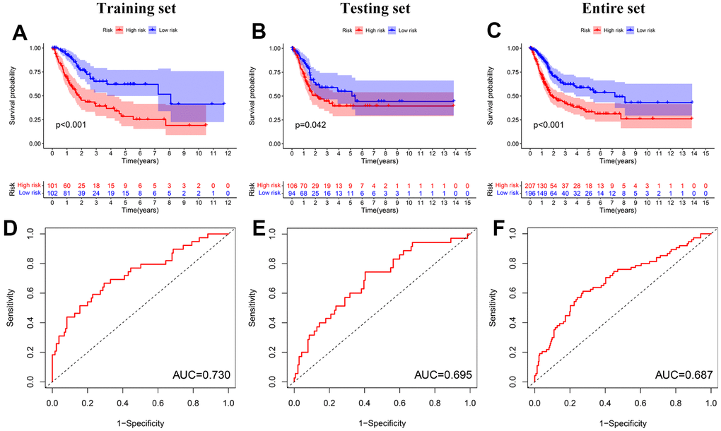 Prognosis value of the prognostic signature. (A–C) Kaplan–Meier survival curves of BC patients in the training, testing, and entire sets. (D–F) ROC analyses in the training, testing, and entire sets.
