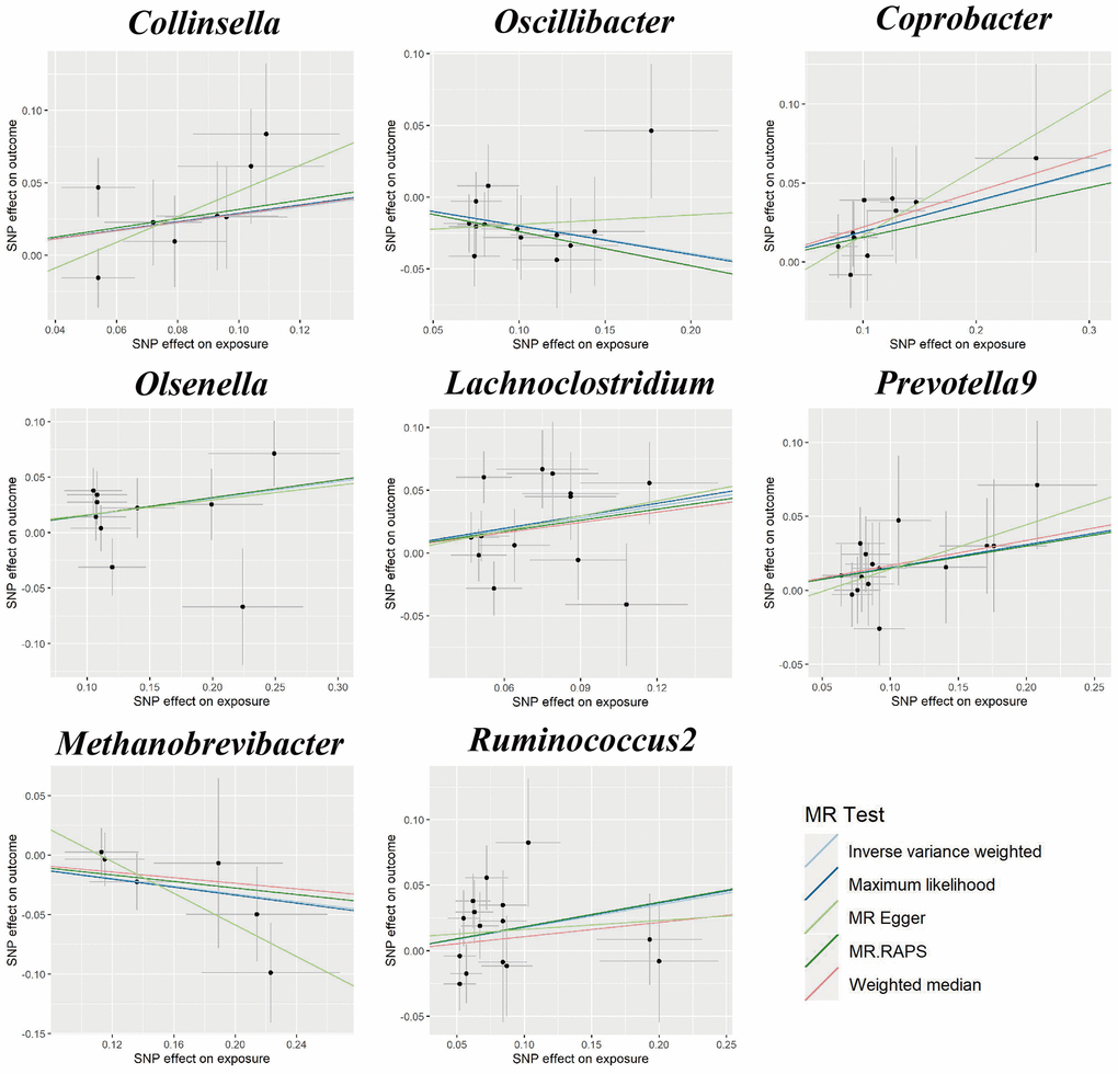 Scatter plots for the causal association between gut microbiota and GDM.