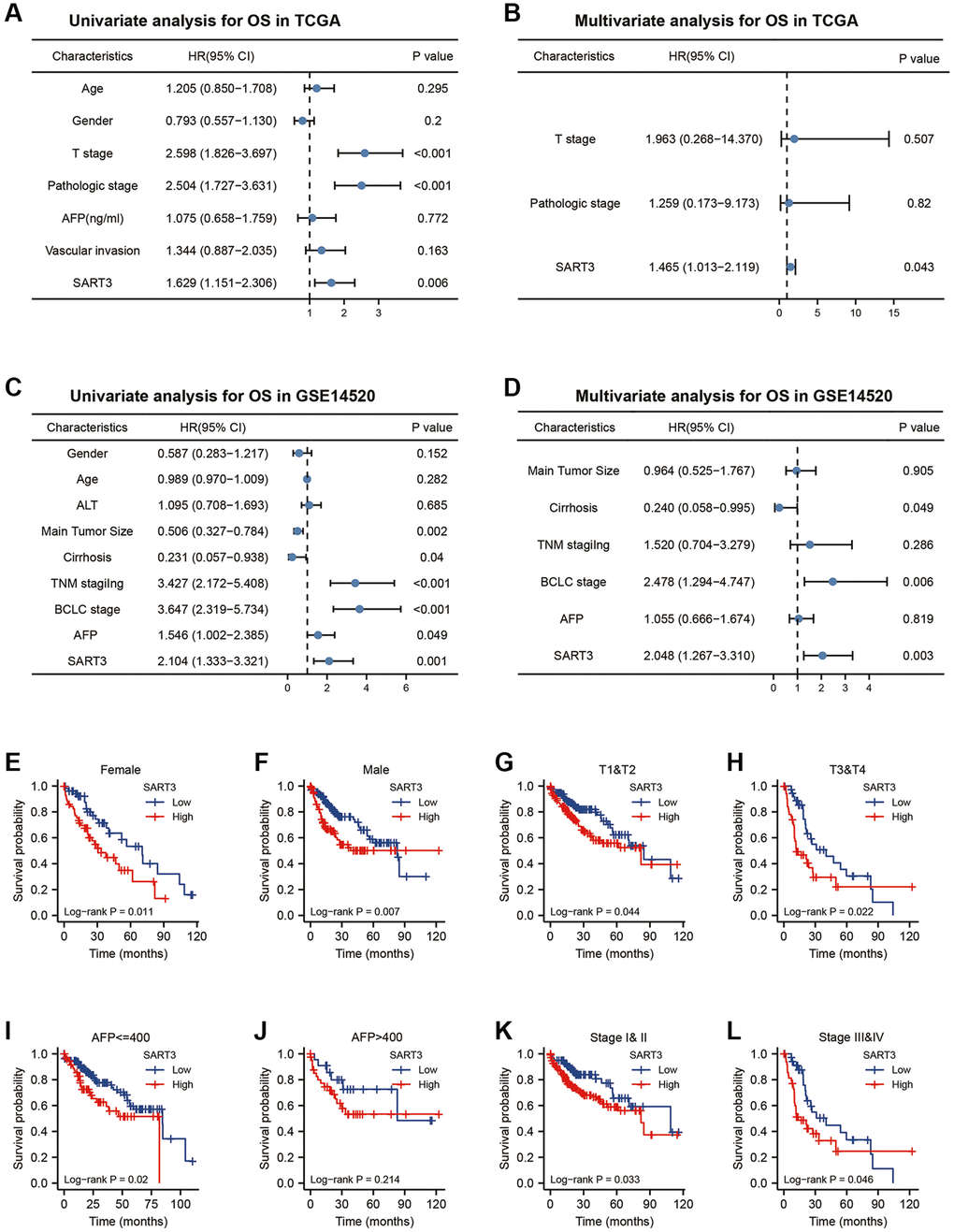 Prognostic value of SART3 in HCC. (A) Univariate Cox regression model and (B) multivariate Cox regression model in TCGA. (C) Univariate Cox regression model and (D) Multivariate Cox regression model in GSE14520. Kaplan-Meier survival curves for subgroups of SART3high and SART3low patients in (E) female, (F) male, (G) T1 and T2, (H) T3 and T4, (I) AFP ≤400, (J) AFP >400, (K) stage I and II and (L) stage III and IV.