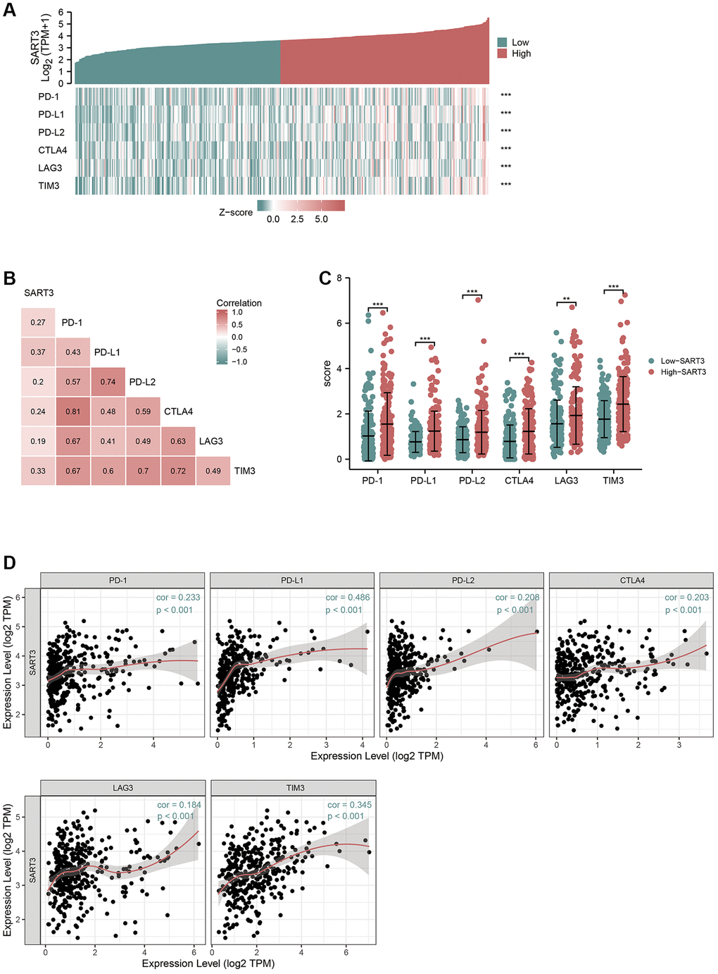 High expression of SART3 upregulates the expression level of immune checkpoint genes. (A) Heat map showing co-expression of SART3 and immune checkpoint genes. (B) Correlation matrix showing SART3-immune checkpoint association. (C) Expression levels of immune checkpoint genes between SART3 high and SART3 low groups. (D) Correlation of SART3 with immune checkpoint genes was verified in TIMER database.