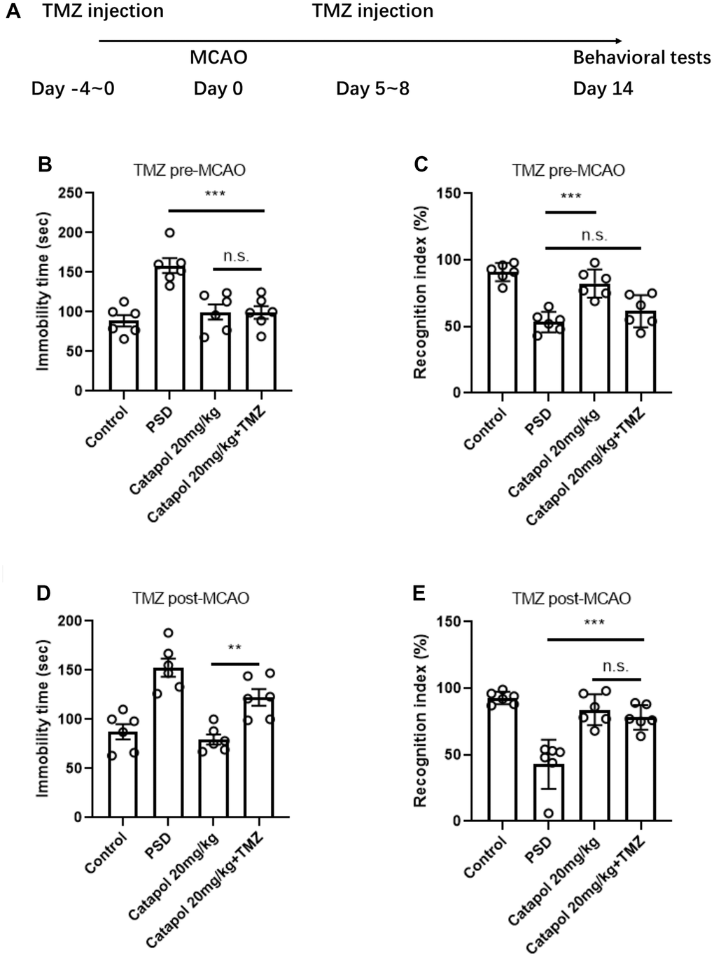 Catapol perform the behavioral effects in PSD model in dependent with hippocampal neurogenesis. (A) Timeline of the injection procedure of TMZ administration alongside with the drug treatment. (B) Statistical analysis on the grooming time in splash test for pre-TMZ treatment. One-way ANOVA, Tukey’s post-hoc, ***: pC) Statistical analysis on the recognition index in ORT in pre-TMZ treatment. One-way ANOVA, Tukey’s post-hoc, ***: pD) Statistical analysis on the grooming time in splash test for post-TMZ treatment. One-way ANOVA, Tukey’s post-hoc, **: pE) Statistical analysis on the recognition index in ORT in post-TMZ treatment. One-way ANOVA, Tukey’s post-hoc, ***: p