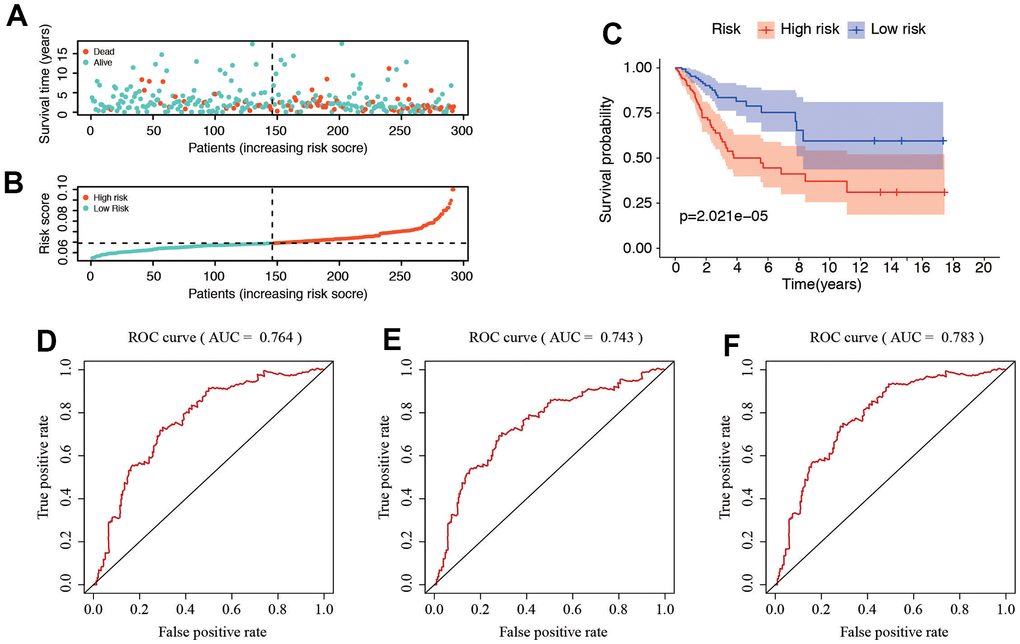 Correlation between the risk score and clinicopathological features. (A, B) Distribution of risk score and patient survival status of cervical cancer. (C) The Kaplan–Meier curve demonstrates that patients in the high-risk group have a poorer prognosis. (D–F) Time-dependent ROC curve of 1-, 3-, and 5-year analysis for survival prediction by the risk score.