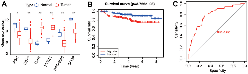 External validation of the six genes and related risk model. (A) Gene expression of the six senescence-related genes in GSE44001 dataset. (B) Survival curve of patients in low- and high-risk groups. (C) Predictive accuracy of the risk model in GSE44001.