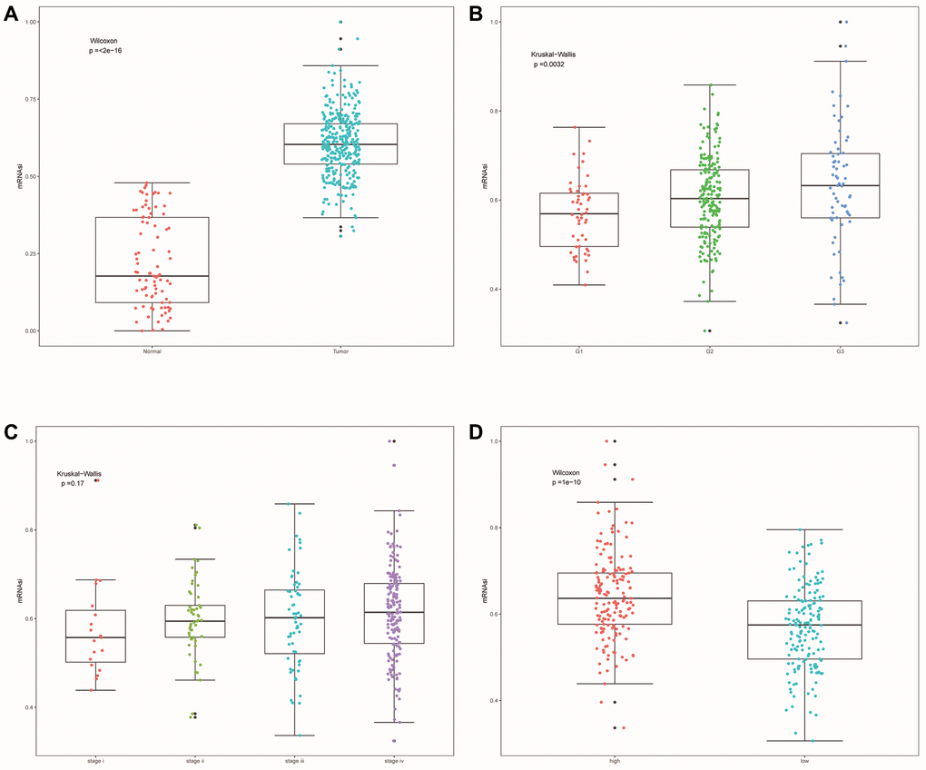 Cell stemness correlation analysis. (A) The differences of mRNAsi between OSCC samples and normal samples. (B) The differences of mRNAsi among different tumor grade subgroups. (C) The differences in mRNAsi among different clinical stage subgroups. (D) Differences in mRNAsi between other risk groups.