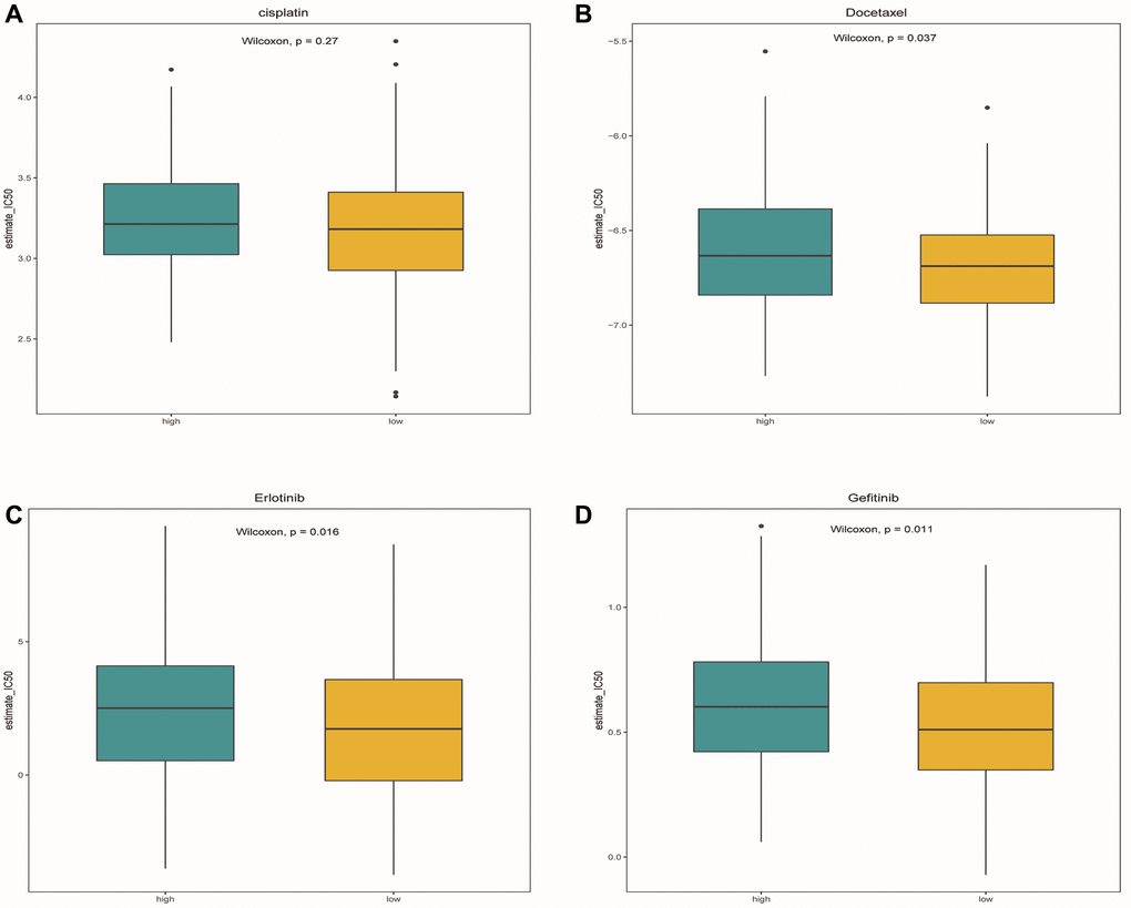 Drug sensitivity analysis. (A–D) Box plots showed the differences in IC50 of cisplatin, docetaxel, Gefitinib and erlotinib between the high-risk group and the low-risk group, respectively. Green represented the high-risk group, while yellow represented the low-risk group.