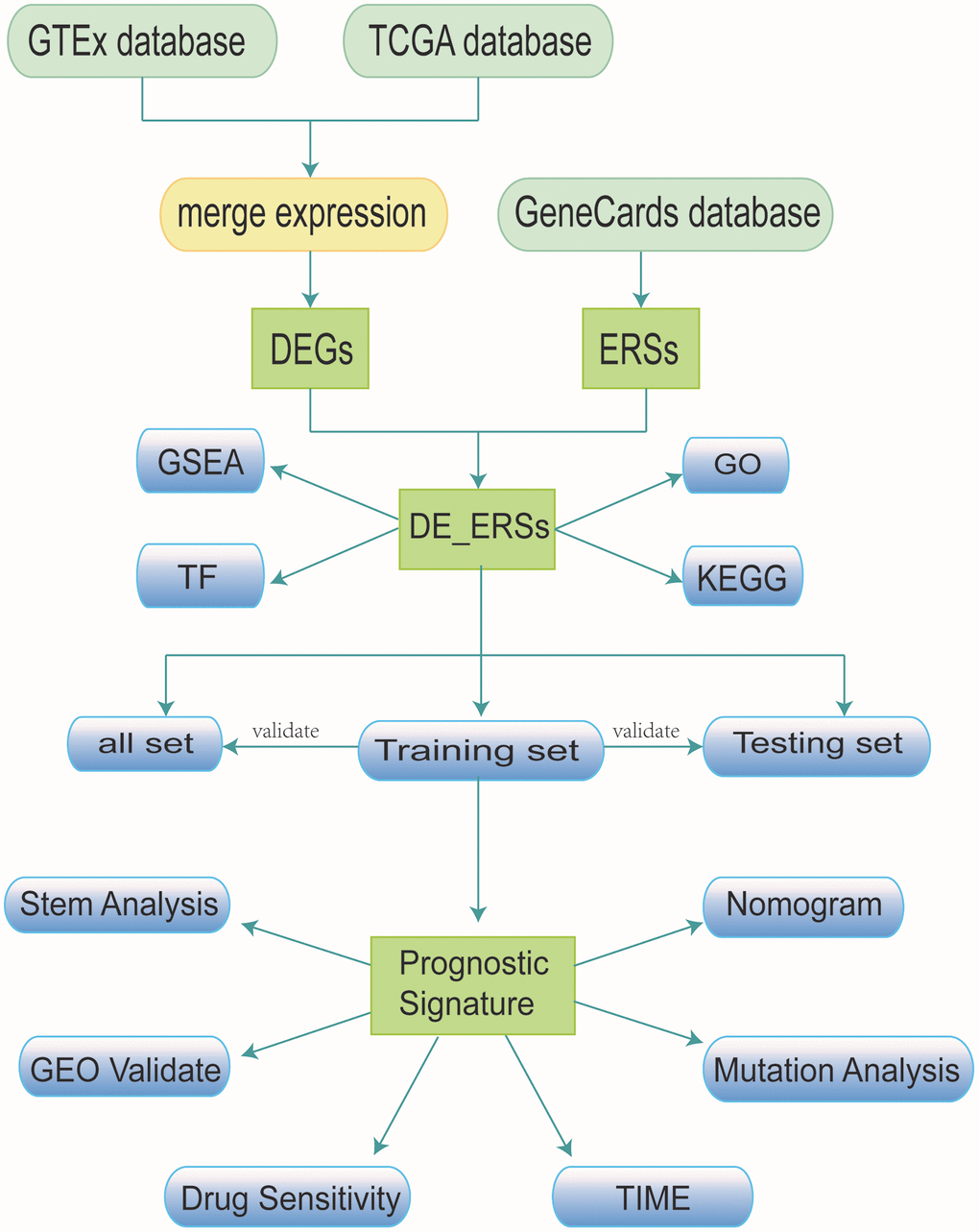 Research workflow.