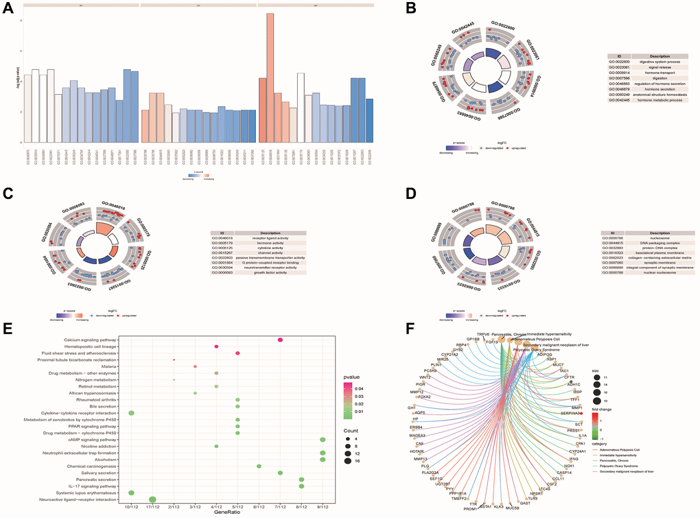 Functional enrichment analysis of DE-ERSs. (A–D) The GO function enrichment analysis results of DE-ERSs including BP, CC and MF. (A) When z-score was defined as the abscissa, -log (p.adjust) was defined as the ordinate. The first, second, and third parts represent BPs, CCs, and MFs. (B–D) The results of BP, CC and MF, respectively. The color of the node gene represented the level of expression in the tumor tissue. Blue indicated down-regulation of the expression value, while red indicated up-regulation of the expression value. The middle quadrilateral represented the effect of the gene on the enriched GO terms. Dark colors showed inhibition, while light colors indicated activation. (E) The results of KEGG pathway enrichment analysis. The node size and color indicated the number of genes enriched in the pathway and -log10 P-value. (F) The first five results of DO enrichment analysis of DE-ERSs.