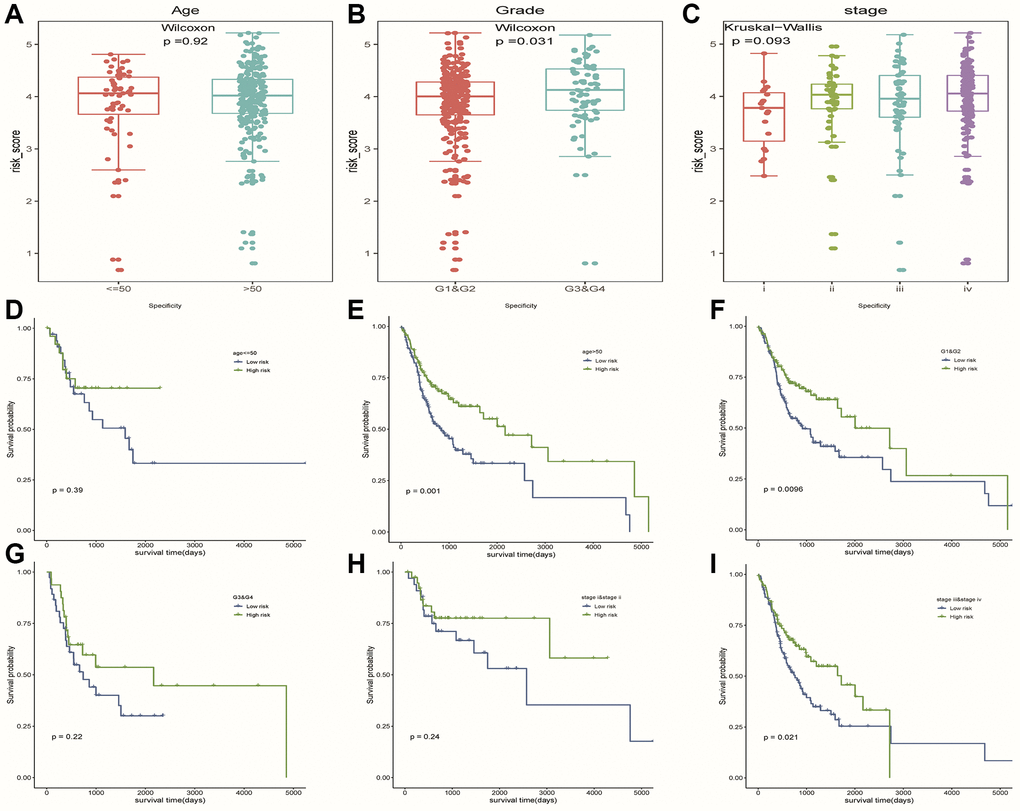 The hierarchical analysis based on clinicopathological features. (A–C) Differences of risk scores between patients with different clinicopathological characteristics (age, grade and stage), respectively. (D–I) Survival curves were used to assess the model’s ability to discriminate outcomes among subgroups of patients with different clinicopathological features. Blue and green represented low-risk and high-risk samples, respectively.