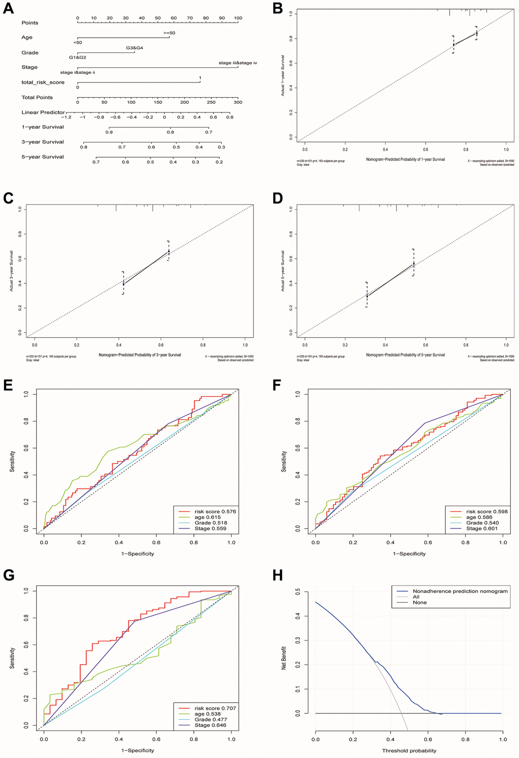 Construction and verification of a nomogram for predicting the overall survival rate of patients with OSCC. (A) Nomogram composed of age, grade, stage and risk group. (B–D) The calibration curve of Nomogram. The Y-axis represented the actual survival rate, while the X-axis represented the survival rate predicted by the Nomogram. (E–G) Multivariate ROC curves of 1, 3 and 5 years were used to predict prognosis based on nomogram. (H) The Decision Curve Analysis of the nomogram. The y-axis represents the net benefit. The blue and gray curves represented the net benefit of the model predictions and all interventions for all patients, respectively. In contrast, the horizontal line represented the net benefit of not accepting intervention for all patients. The intersection of the model curve and the All curve was the starting point, while the corner of the model curve and the None curve was the endpoint. Patients within this range could benefit.