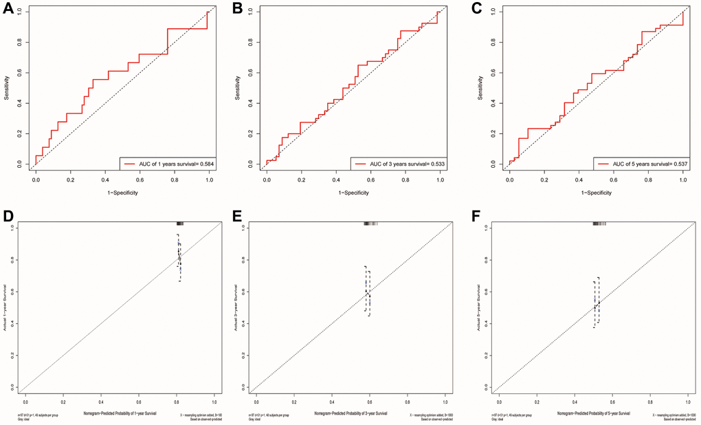 Validation of the risk model and the ability of the nomogram to predict prognosis using the GSE41613 cohort. (A–C) The ROC curve for predicting 1, 3 and 5-year survival rate based on the GSE41613 validation cohort, respectively. (D–F) Internal Calibration Curve of nomogram at 1-year, 3-year and 5-year based on the GSE41613 validation cohort, respectively.