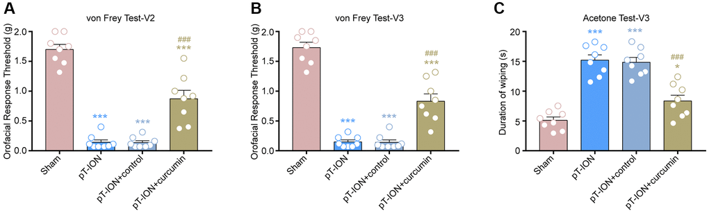 The effect of curcumin on orofacial allodynia induced by pT-ION. (A) The primary mechanical hyperalgesia in area V2. (B) The secondary mechanical hyperalgesia in area V3. (C) The secondary cold allodynia in area V3. N = 8 mice/group. *P ***P ###P 