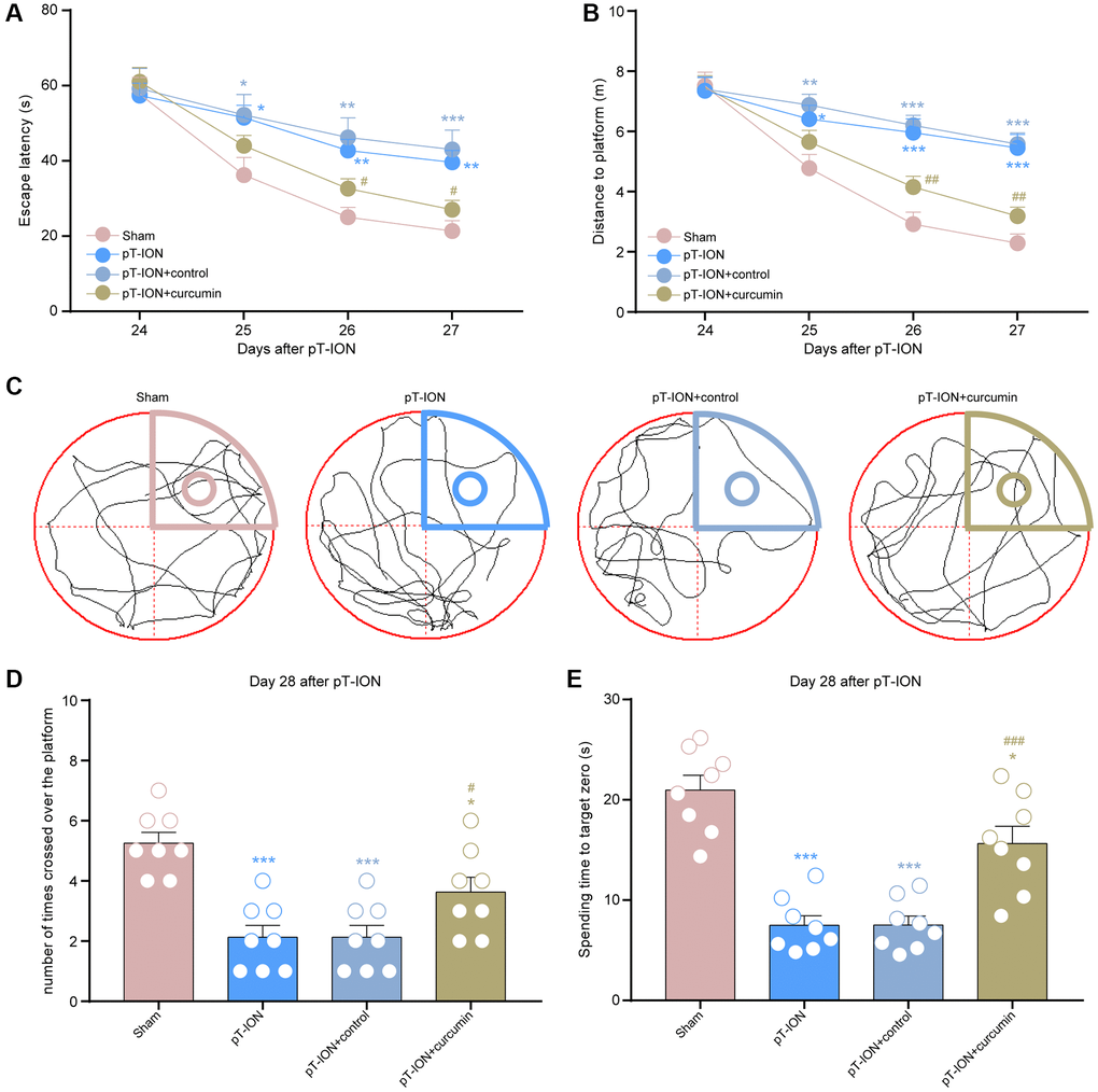 The effect of curcumin on learning and memory impairment in pT-ION mice. (A) Time to reach the hidden platform. (B) Total swimming distance during the trial. (C) Tracks of the mice in the probe test. (D) Number of times the mice crossed over the platform. (E) Spending time to target zone area. N = 8 mice/group. *P **P ***P #P ##P ###P A, B): two-way ANOVA and Tukey’s test, (C–E): one-way ANOVA and Tukey’s test.