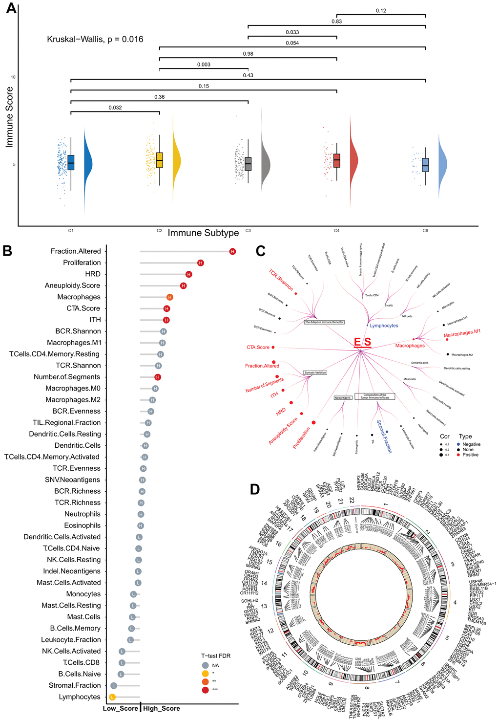Exploration of the exosome score predictive role in the TCGA cohort. (A) Raincloud Plot shows the comparison of ES between the different immune subtypes. (B) Lollipop plot showing the comparison of immune-related features between the low- and high-score groups. The length of the stick represents the difference between the medians of the features in the high- and low-score groups. (C) Circos Plot displays the CNVs distribution in ES-relevant groups, and red dots represent the difference between the incidence of CNVs in the high- and low-score groups. (D) Violin plot showing the distribution of the two groups in different immune cells, NA p > 0.05, * p p p 