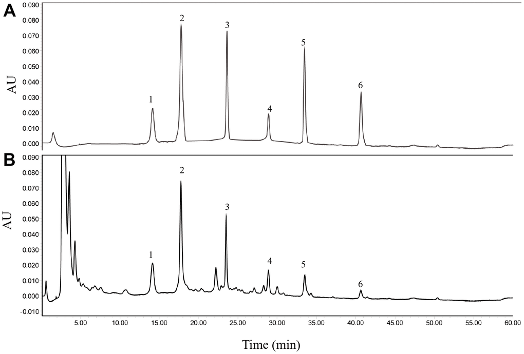 Representative chromatograms obtained by HPLC-UV. (A) standard compounds. (B) HGWD extract. 1, paeoniflorin; 2, calycosin-7-O-β-D-glucoside; 3, ononin; 4, calycosin; 5, cinnamic acid; 6, formononetin.