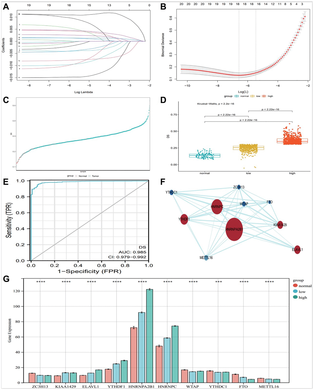 Construction of diagnostic Signature based on m6A regulators. The binomial deviance curve was plotted versus log (λ), where λ is the tuning parameter (A). LASSO coefficient profiles of clinicopathologic variables (B). DS distribution in normal and tumor (C) and between normal, low and high group (D). (E) ROC curve showed the specificity of DS diagnostic score. PPI analysis of key 10 m6A factors (F), and bar graph showed them expression in different groups (G), (*P **P ***P 