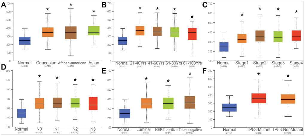Correlation analysis with HNRNPA2B1 and clinical parameters. Correlation analysed with HNRNPA2B1 expression and different counties (A), age (B), tumor stage (C), N stage (D), Breast cancer subtype (E), TP53-mutation (F).