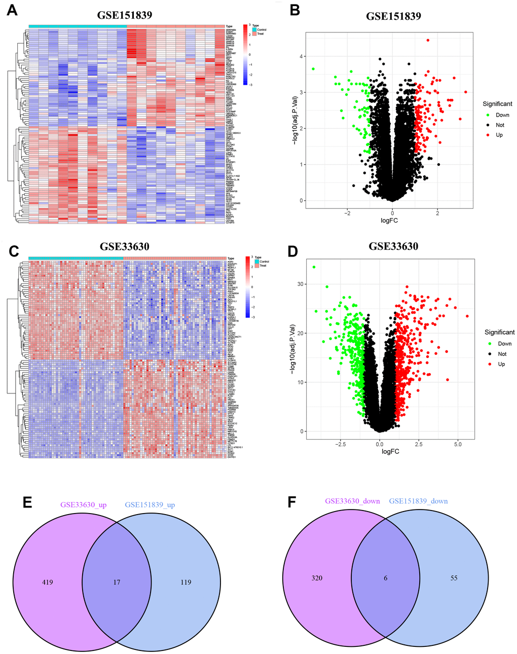 Identification of DEGs. (A) Heatmap of DEGs in GSE151839. (B) Volcano plot of DEGs in GSE151839. (C) Heatmap of DEGs in GSE33630. (D) Volcano plot of DEGs in GSE33630. (E) Venn diagram shown the 17 up-regulated DEGs between GSE151839 and GSE33630 datasets. (F) Venn diagram shown the 6 down-regulated DEGs between GSE151839 and GSE33630 datasets.