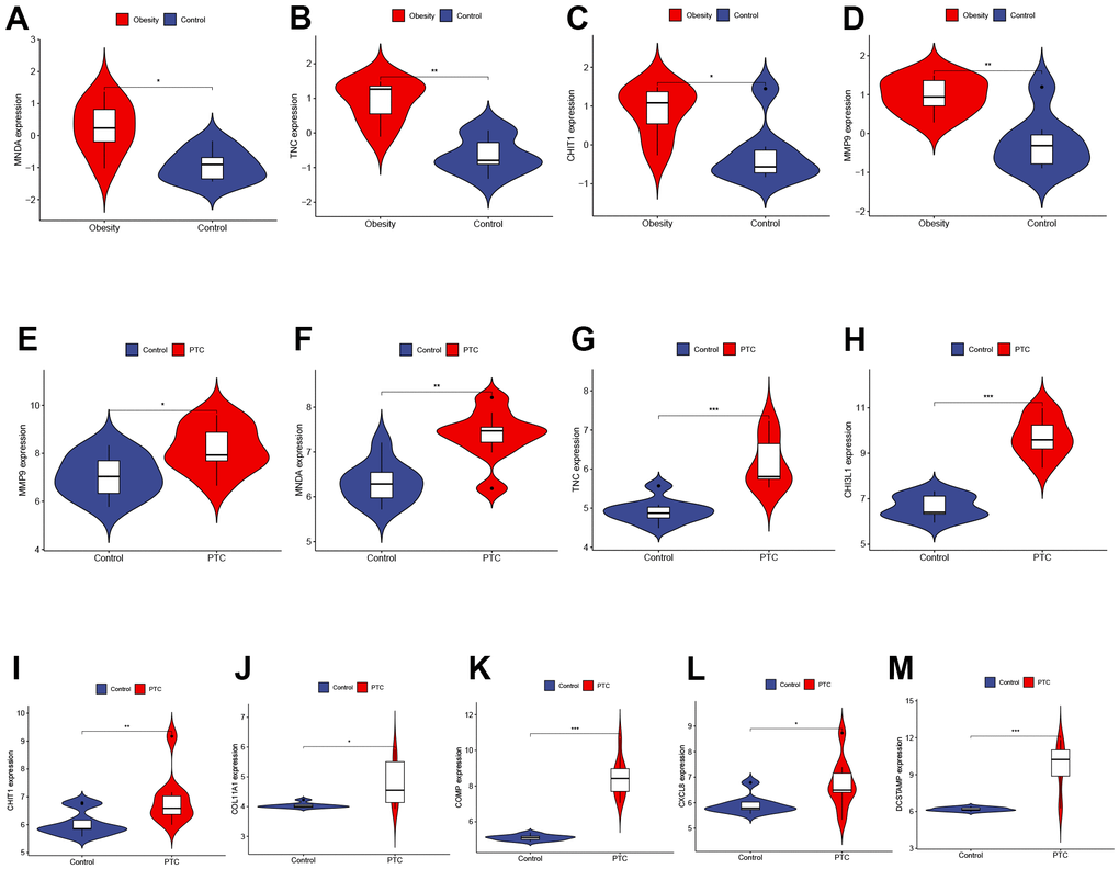 Validation of hub genes expression in external datasets. (A–D) The expression of MNDA, TNC, CHIT1, and MMP9 in GSE44000 dataset ((A) P B) P C) P D) P E–M) The expression of MMP9, MNDA, TNC, CHI3L1, CHIT1, COL11A1, COMP, CXCL8, and DCSTAMP in GSE3467 dataset ((E) P F) P G) P H) P I) P J) P K) P L) P M) P “***”, P “**”, P “*”, and P > 0.05 as “ns”.