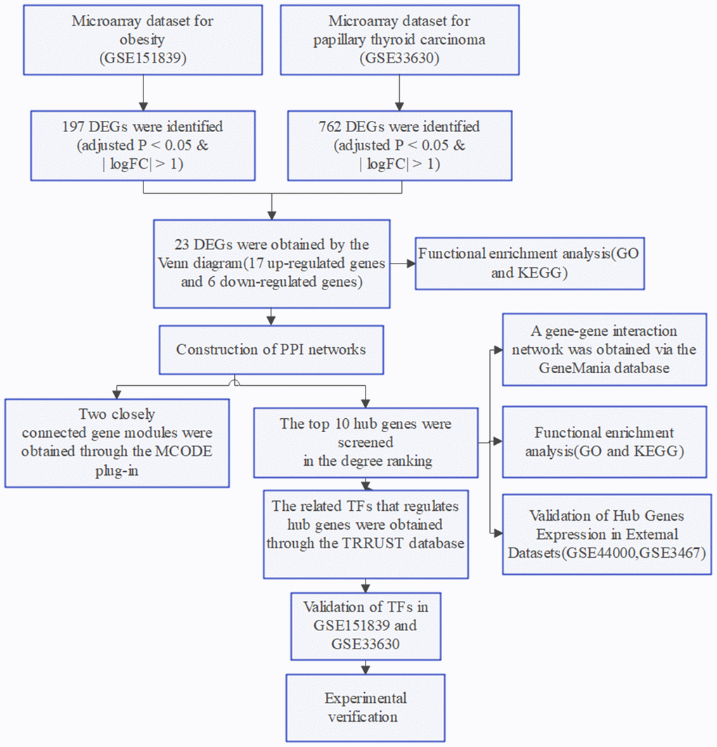 Flow chart of the study.