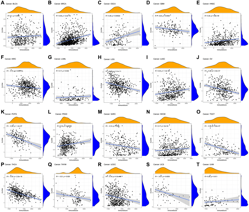 Relationship between CLCN4 expression and Immune-Score. (A) BLCA. (B) BRCA. (C) ESCA. (D) GBM. (E) HNSC. (F) KIRC. (G) LAML. (H) LGG. (I) LUSC. (J) OV. (K) PCPG. (L) PRAD. (M) SARC. (N) SKCM. (O) TGCT. (P) THCA. (Q) THYM. (R) UCEC. (S) UCS. (T) UVM.