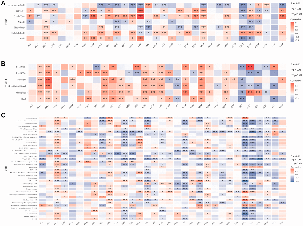 The association between CLCN4 gene expression and 22 immune cells infiltration levels. (A) The correlation between CLCN4 expression and immune cell infiltration was calculated according to EPIC algorithm. (B) The correlation between CLCN4 expression and immune cell infiltration was calculated according to the TIMER algorithm. (C) The correlation between CLCN4 expression and immune cell infiltration was calculated according to XCELL algorithm. *p **p ***p 