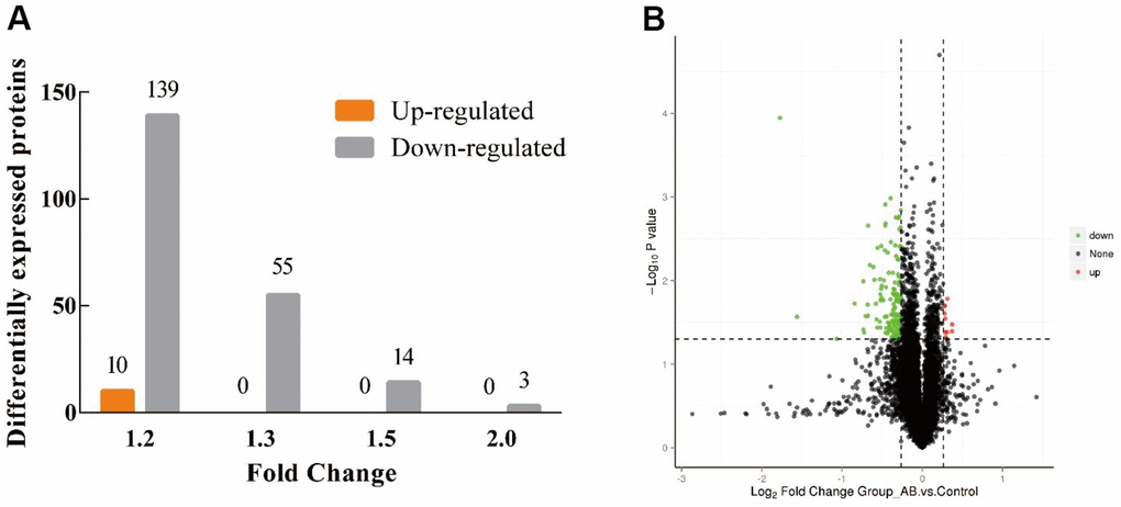 Distribution of proteins identified in the hypothalamus of KM mice. (A) The amount of up/down-regulated of the DEPs at different FC; (B) Volcano plot of the DEPs at FC=1.2. (Red: up-regulated, green: down-regulated).