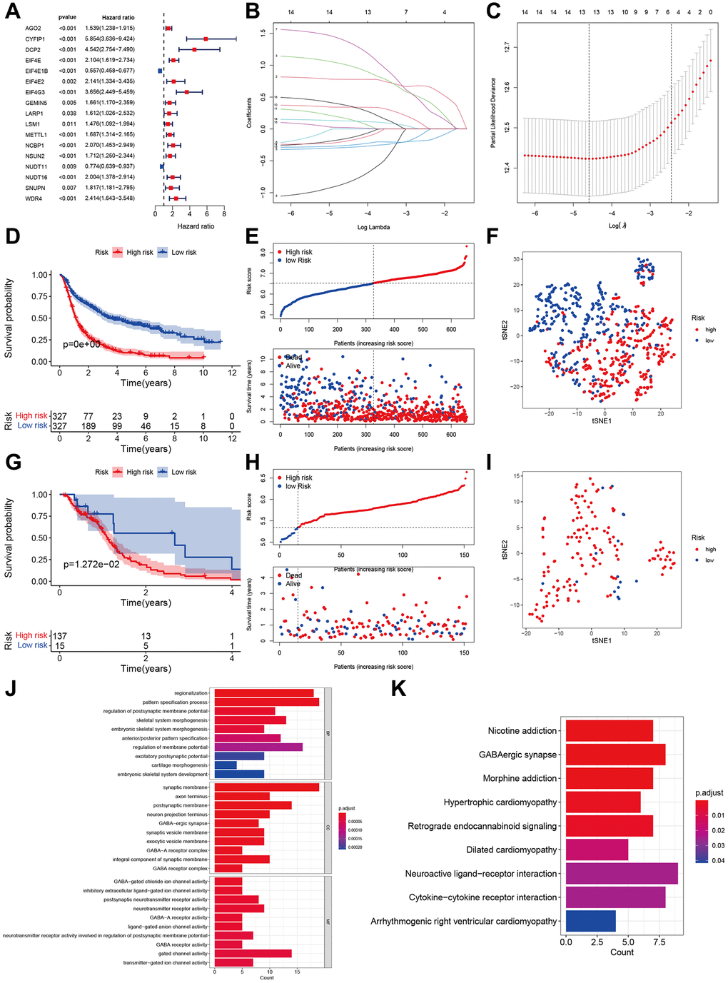 Development and validation of m7G regulator-based prognostic signatures. (A) Forest plot of univariate cox regression in CGGA. (B, C) Parameter selection tuning by cross-validation using LASSO regression. (D, E) Kaplan-Meier curves of risk groups and distribution of risk score and patients in CGGA. (F) Display of two components by PCA in CGGA. (G) Kaplan-Meier curves of two risk groups and distribution of risk score and patients in TCGA. (H, I) Display of two components by PCA in TCGA. (J, K) GO and KEGG enrichment analyses based on 440 DEGs between high- and low-risk groups.