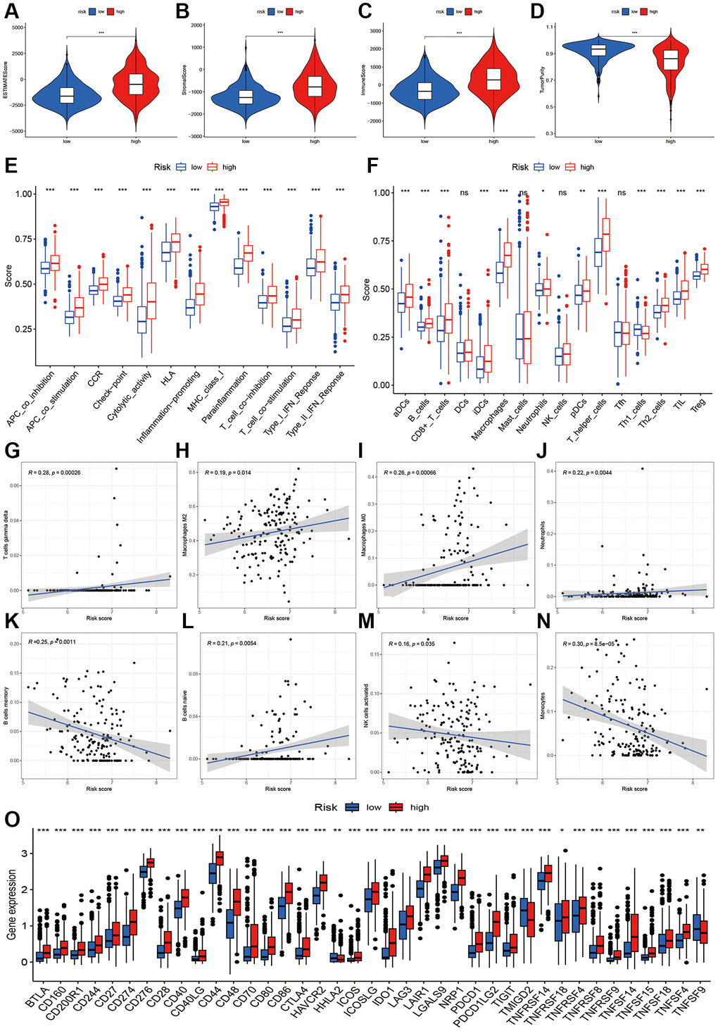 Immune infiltration analysis of two risk groups. (A–D) Boxplot showing the comparative analysis of Estimation, stromal, immune scores, and tumor purity between two risk groups. (E, F) Comparisons of immune-related cells and functions of two risk groups. (G–N) Scatter plot showing risk score’s association with regulatory T cells gamma delta, Macrophages M2, M0, Neutrophils, B cells memory and naïve, NK cells activated, and monocytes. (O) Comparisons of immune checkpoint-related genes between high- and low-risk groups.