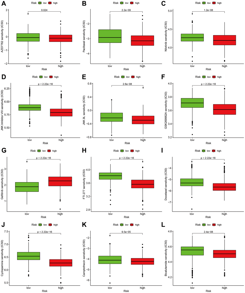 Effect of m7G risk score on chemotherapy sensitivity. (A–L) AZD7762, Paclitaxel, Nilotinib, JNK Inhibitor VIII, JNK.9L, GSK269962A, Gefitinib, FTI.277, Docetaxel, Cyclopamine, Camptothecin, Bicalutamide.