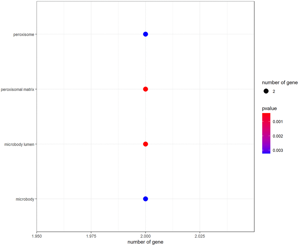 All main signaling pathways were exhibited through KEGG pathway analysis. After ordering based on the p-value, the top molecular pathways were presented for mapping.