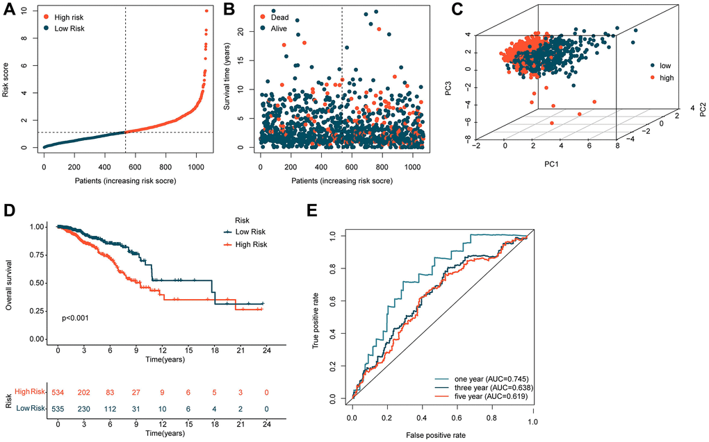 Construction of a risk model based on five independent ICDRLs prognostic factors. (A, B) Division of BRCA samples into two risk subgroups. (C) PCA analysis of high and low-risk subgroups. (D) Assessment of clinical survival outcomes for risk subgroups of BRCA. (E) Time-dependent ROC curve analysis.