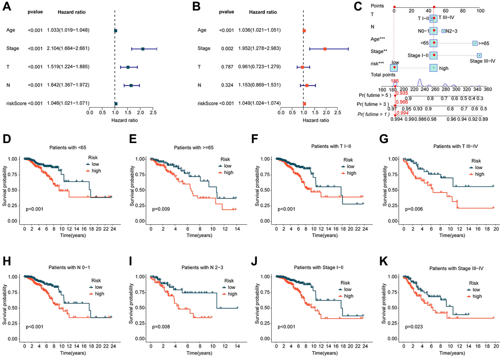 Independent prognostic evaluation of ICDRLs prognostic features. (A, B) Univariate and multivariate COX analysis calculating HR and p-values for different clinical-pathological variables and ICDRLs prognostic features. (C) Development of a nomogram based on different clinical-pathological variables and ICDRLs prognostic features. (D–K) Clinical survival outcome evaluation of risk subgroups based on ICDRLs prognostic features in different clinical-pathological features.